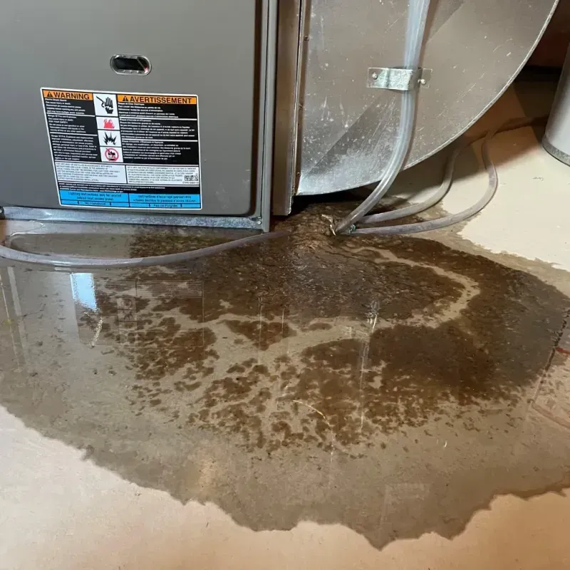 Appliance Leak Cleanup in Rainbow, CA